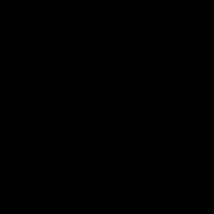 Meet your Posher, Audrey